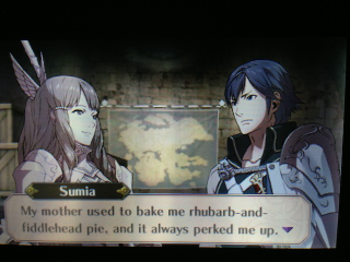 Illustration for article titled This Is What Romance Looks Like In Fire Emblem: Awakening